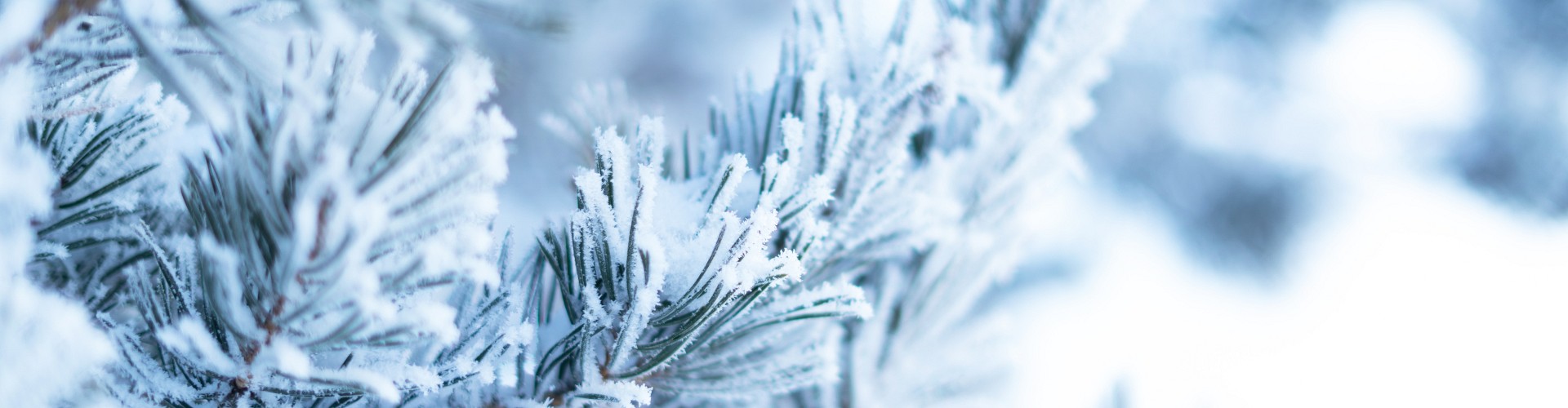 shutterstock 2038386458