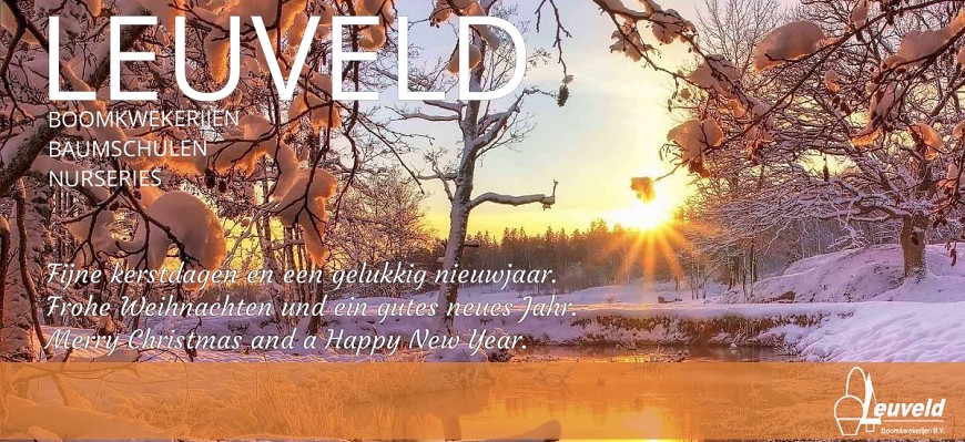 zonsopgang met sneeuw geknipt 1200x650 leuveld naam feestdagen groet